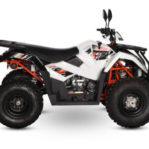 AU 300 EFI